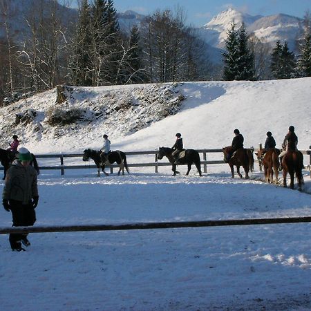 Вилла Reiterhof Suassbauer Sankt Wolfgang im Salzkammergut Экстерьер фото