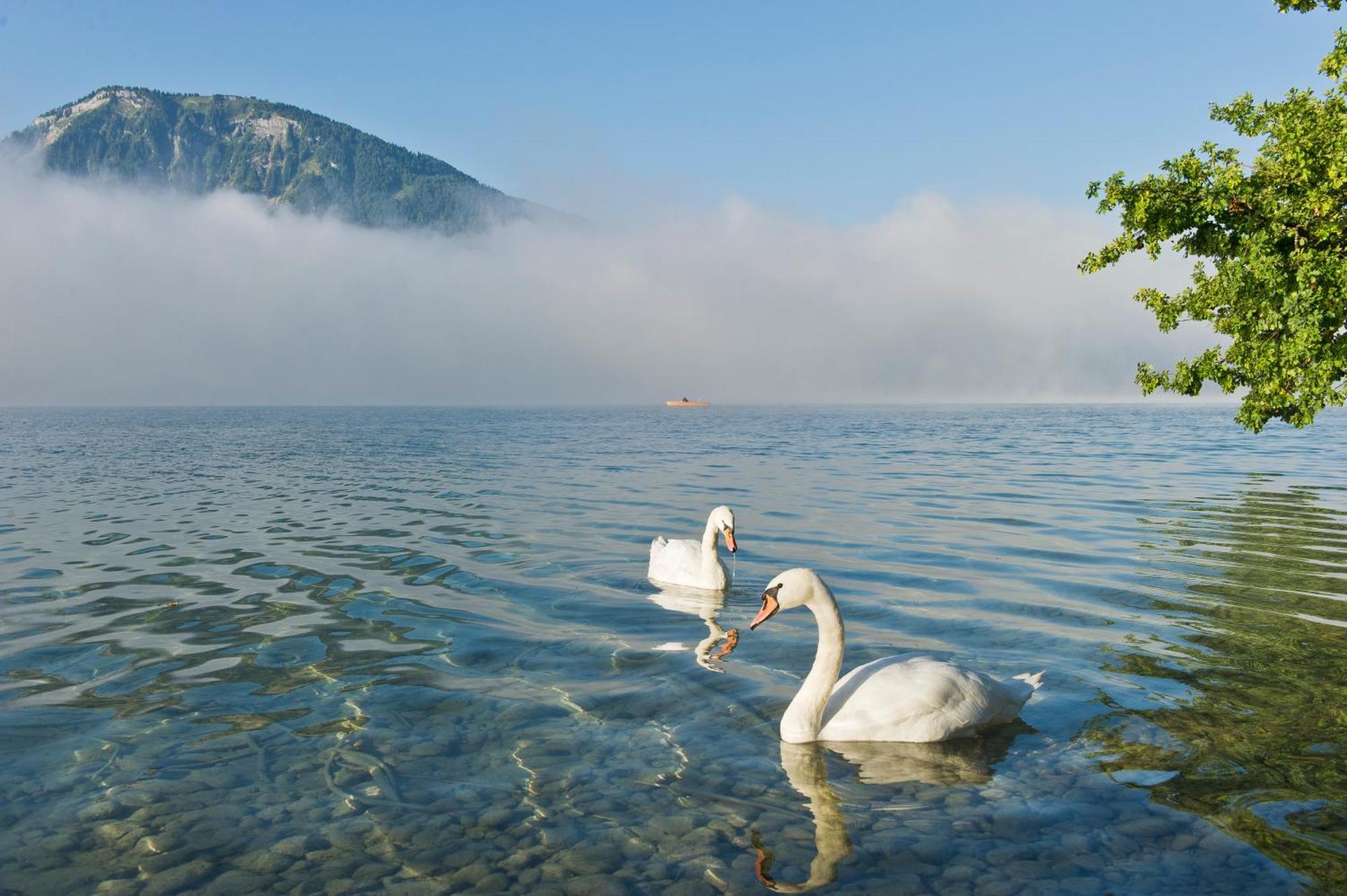 Вилла Reiterhof Suassbauer Sankt Wolfgang im Salzkammergut Экстерьер фото